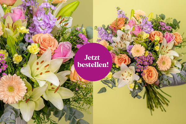 Angebot