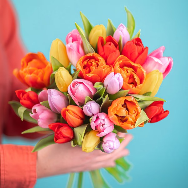 Tulipany