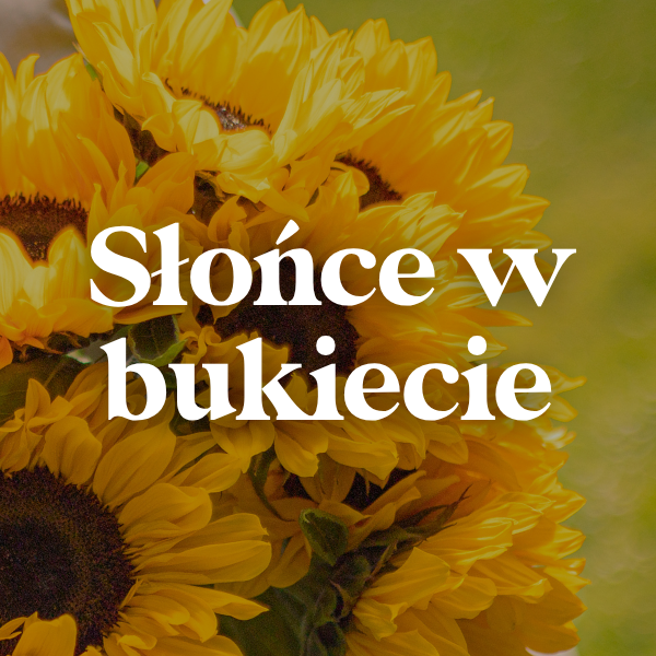 Wyślij