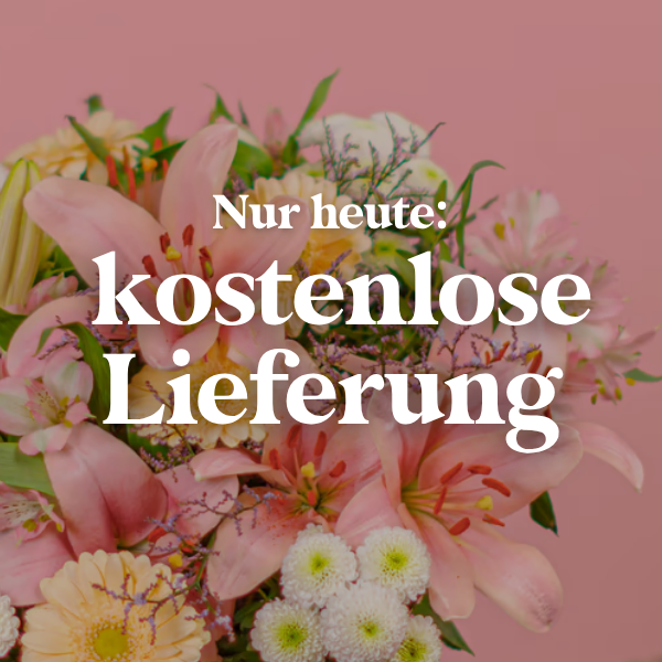 Versandkostenfrei
