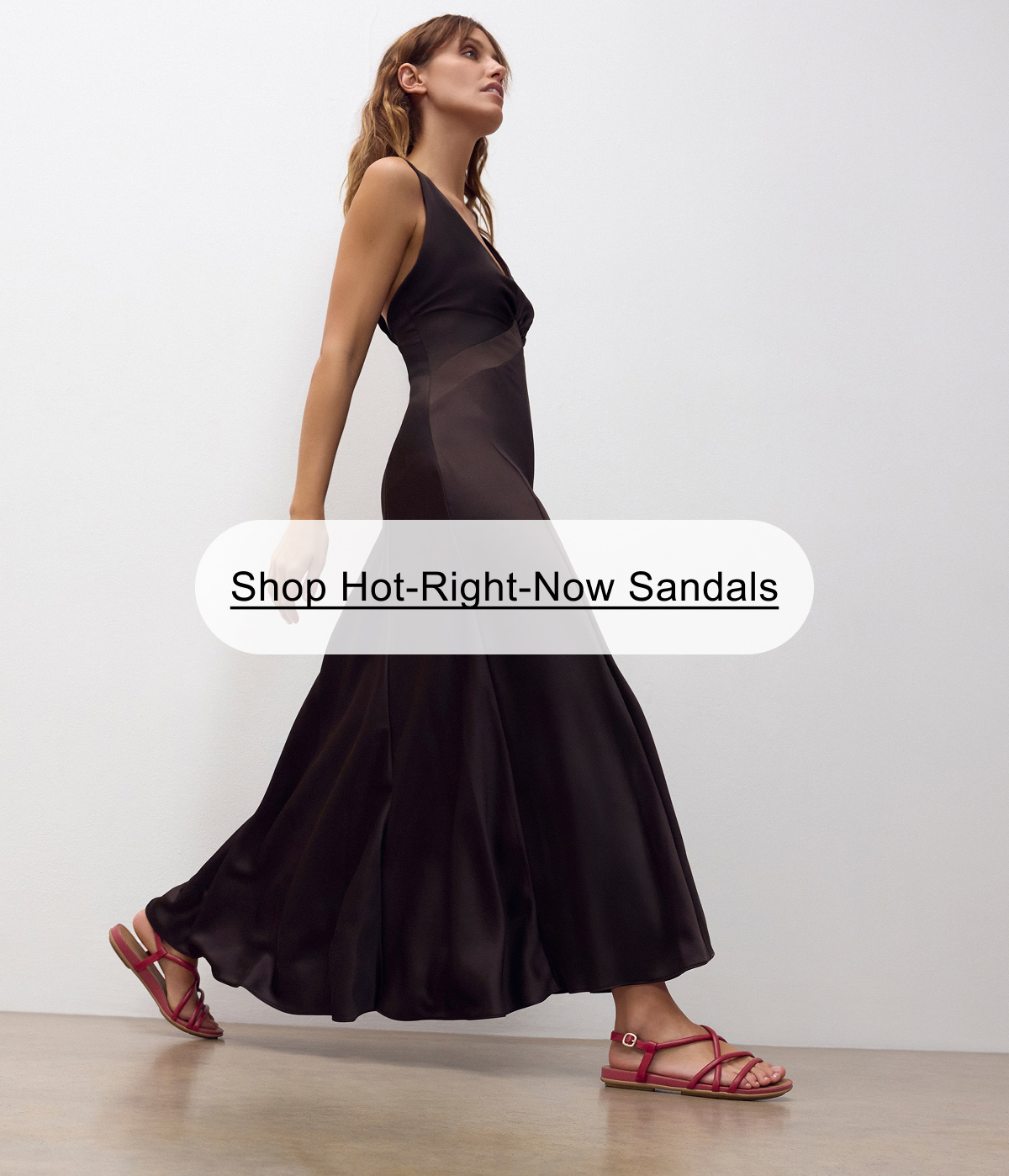 Sandals Banner
