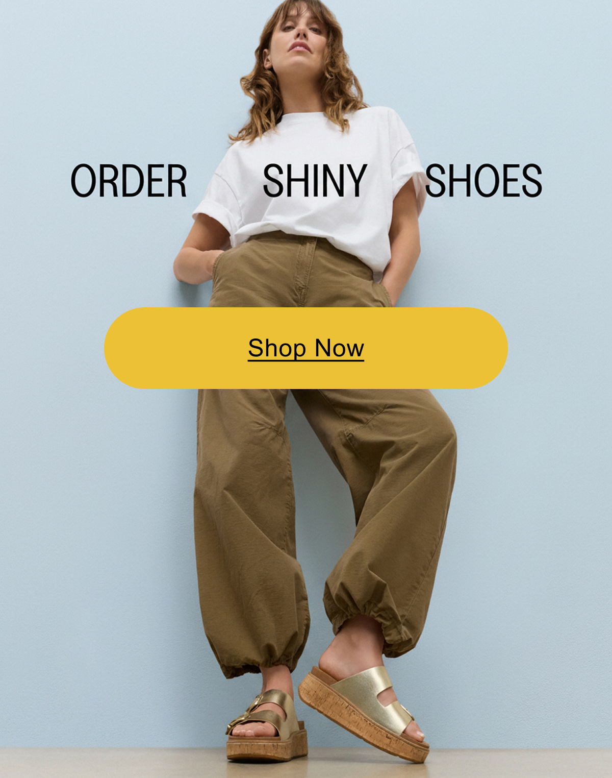 Metallic Shoes Hero