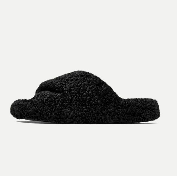 Black Teddy Shearing Slides image