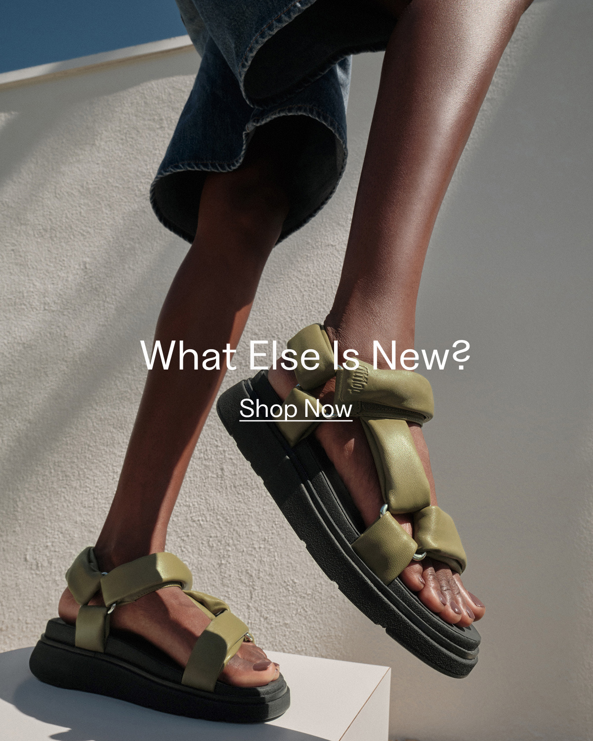 New Arrivals Banner Image