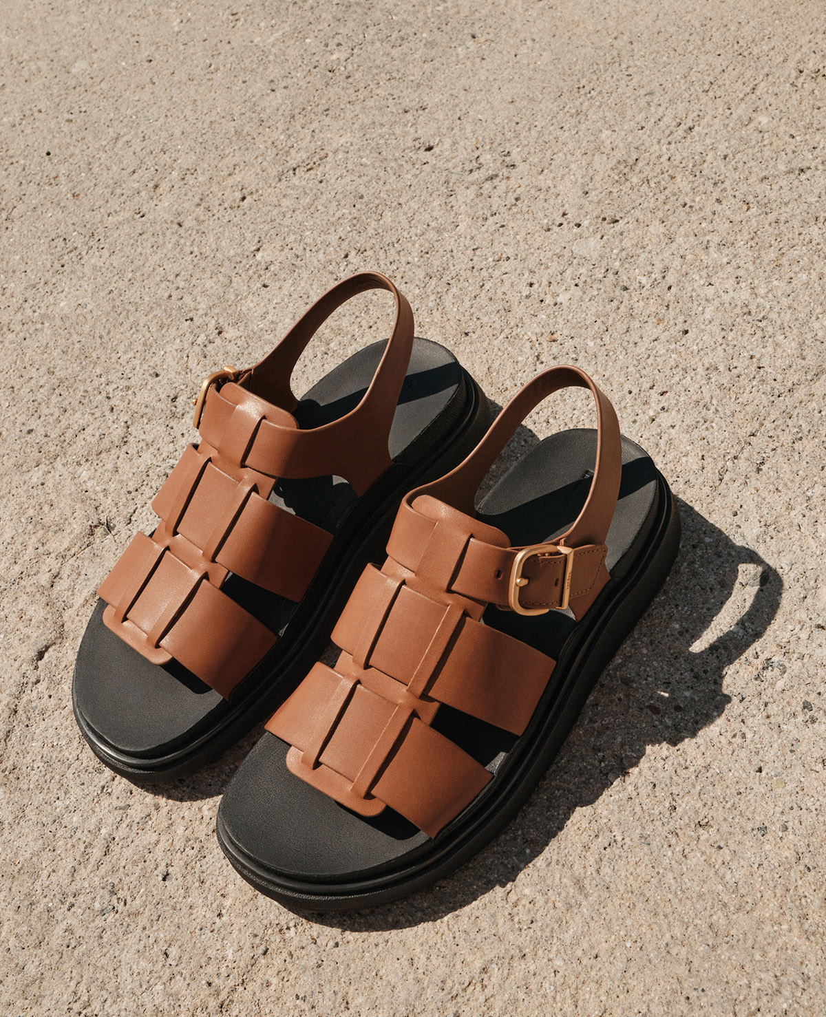 New Arrivals  Image