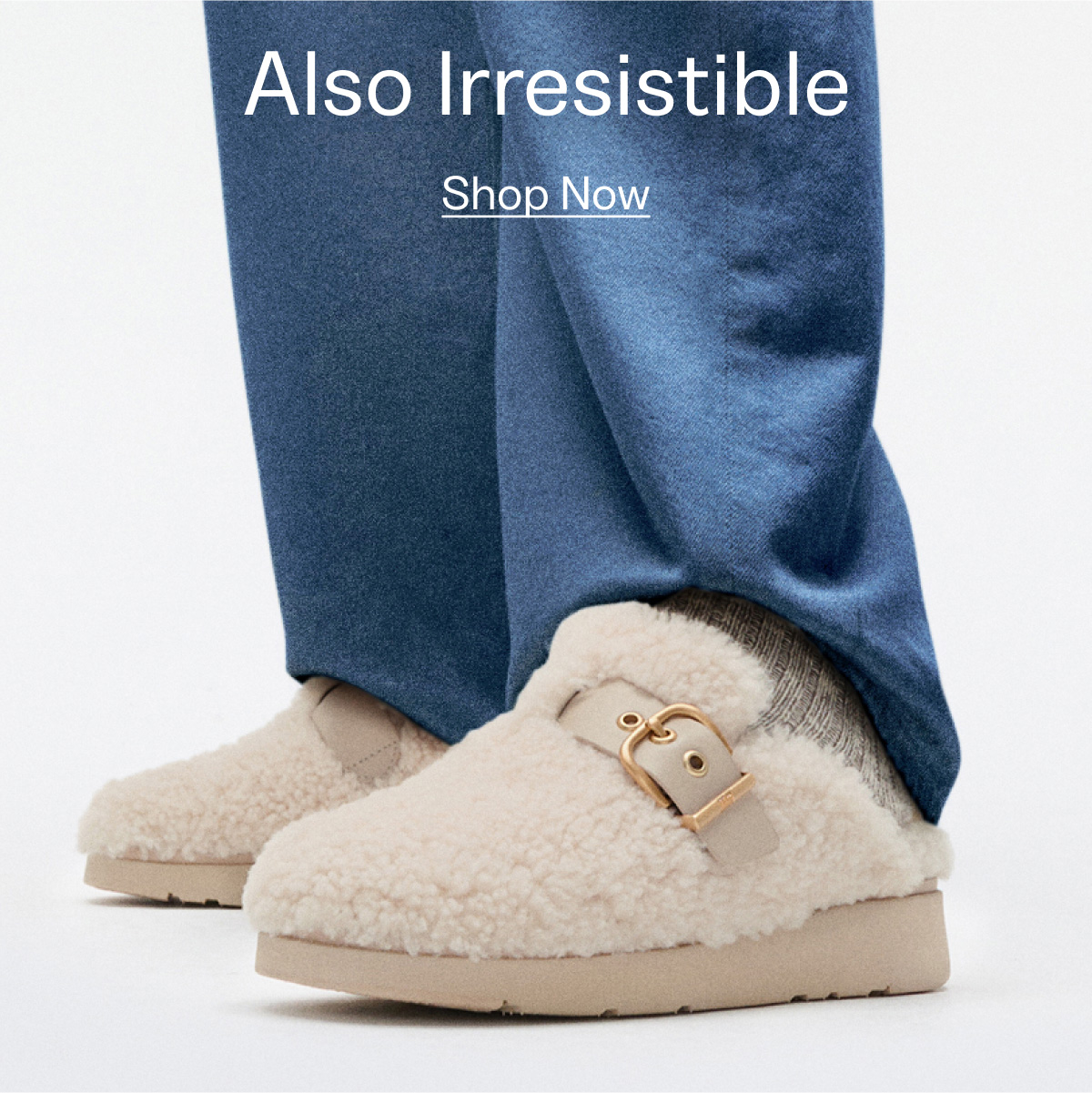 Slippers Banner
