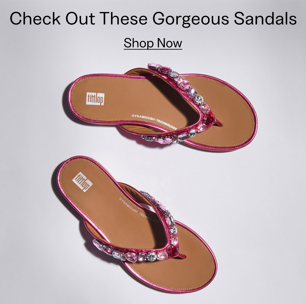 Sandals Banner