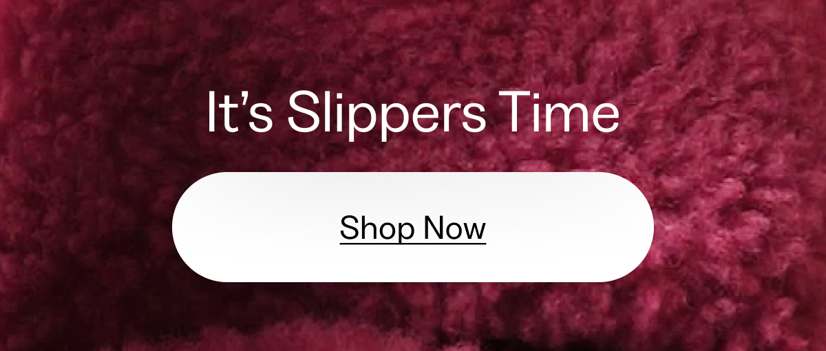 Slippers Banner