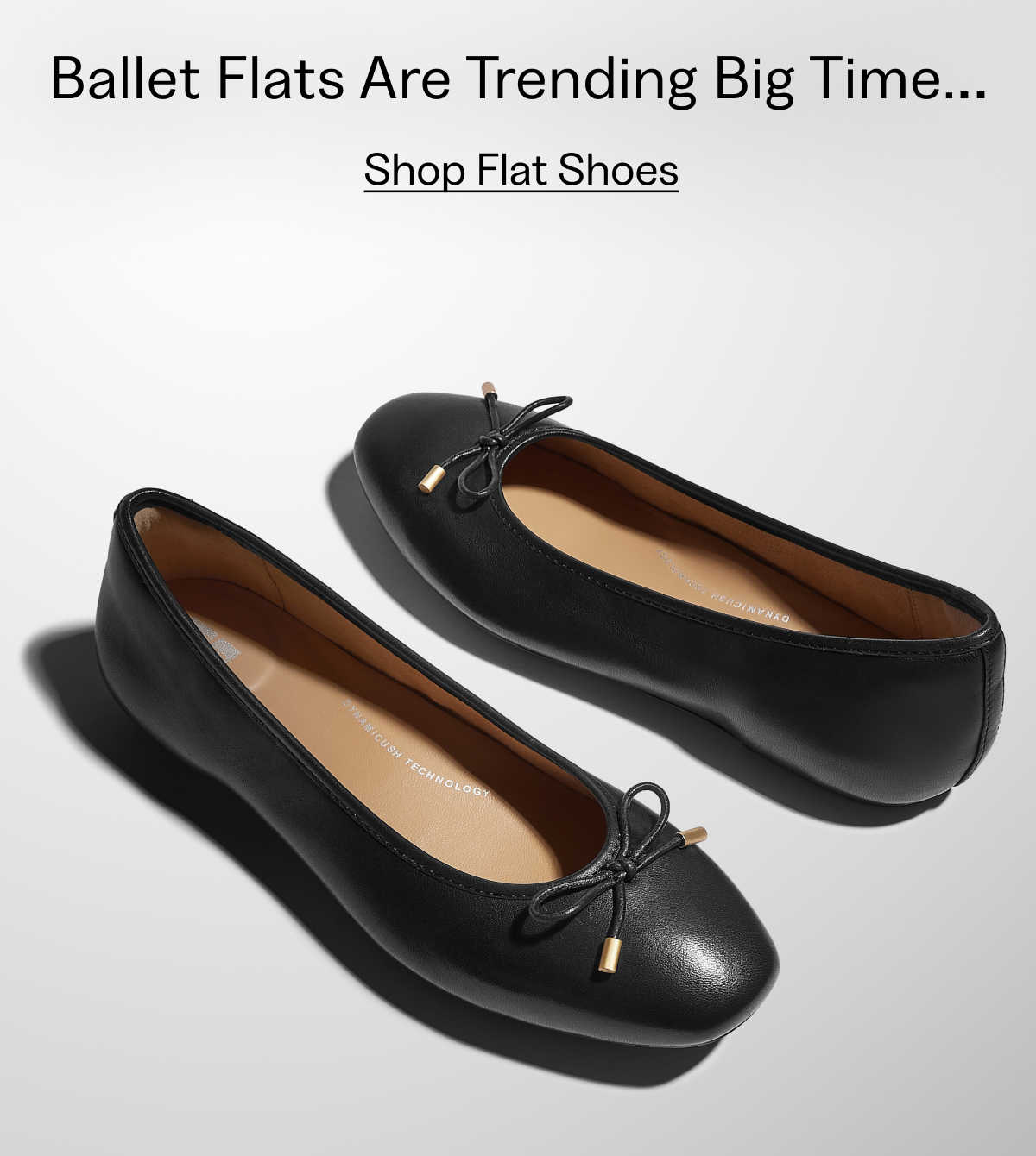 Flat Shoes banner Image