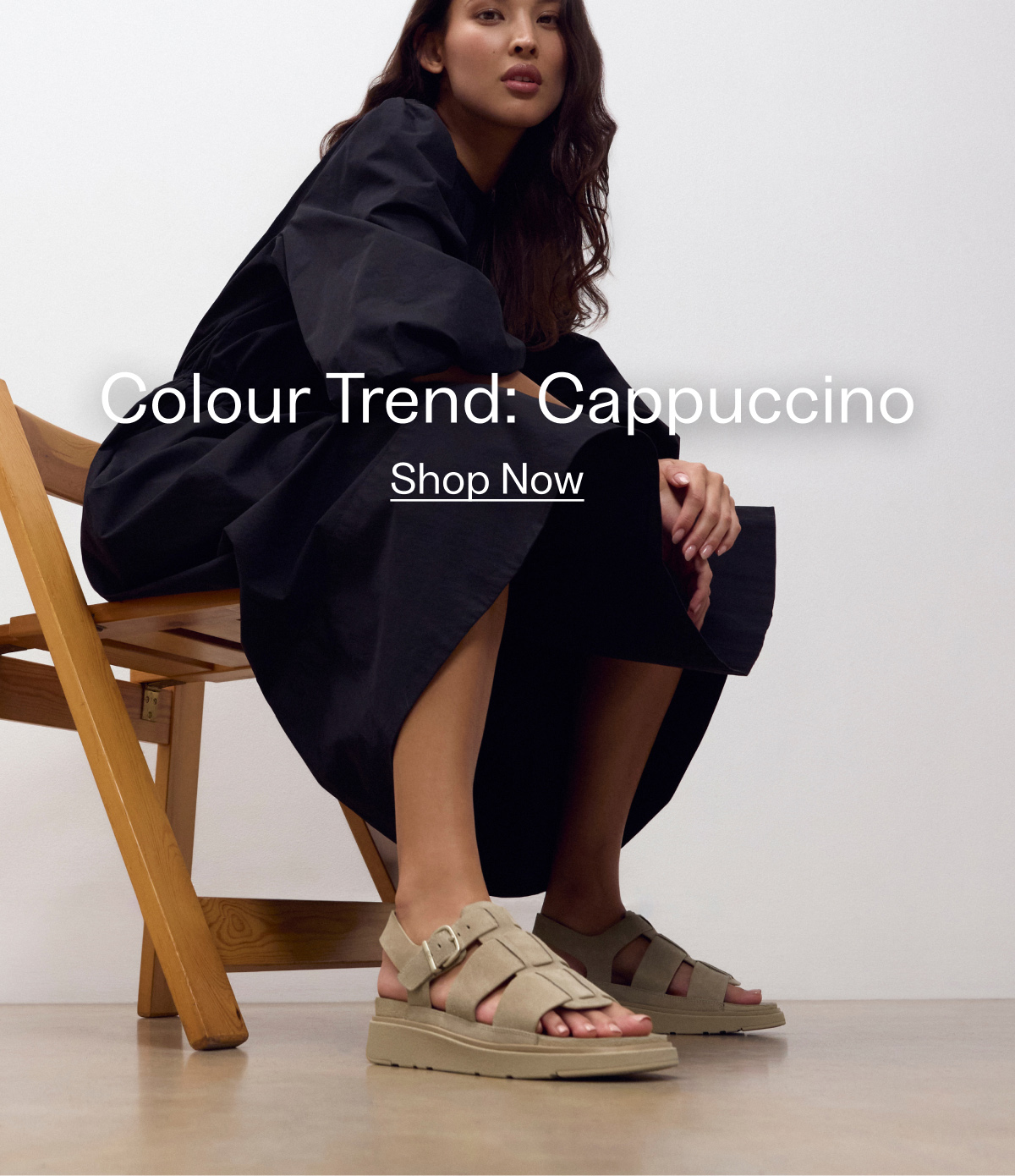 Cappuccino Colour Trend Banner