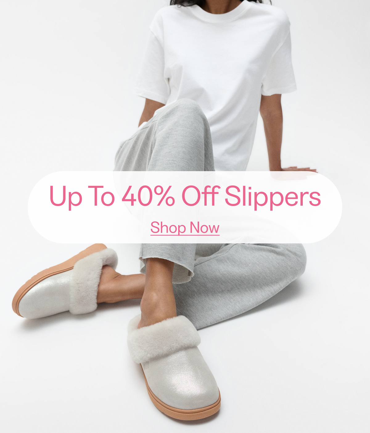 Slippers Banner