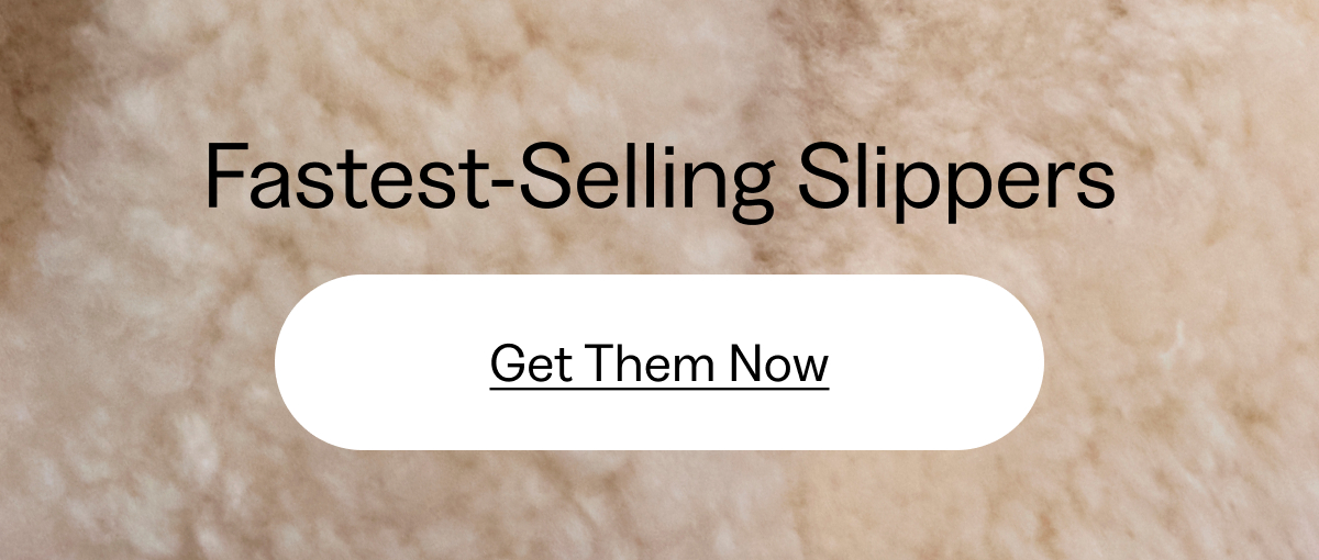 Slippers Banner