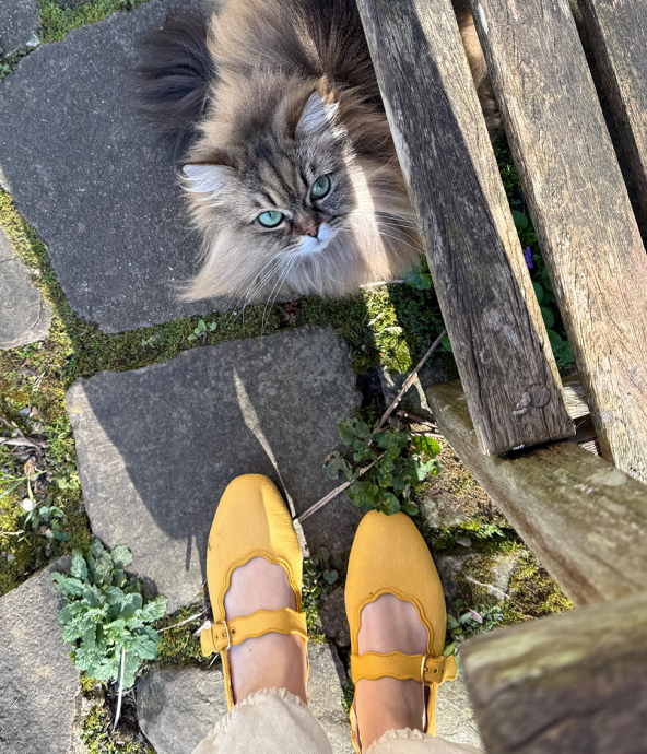 Instagram FitFlop X Pet Image