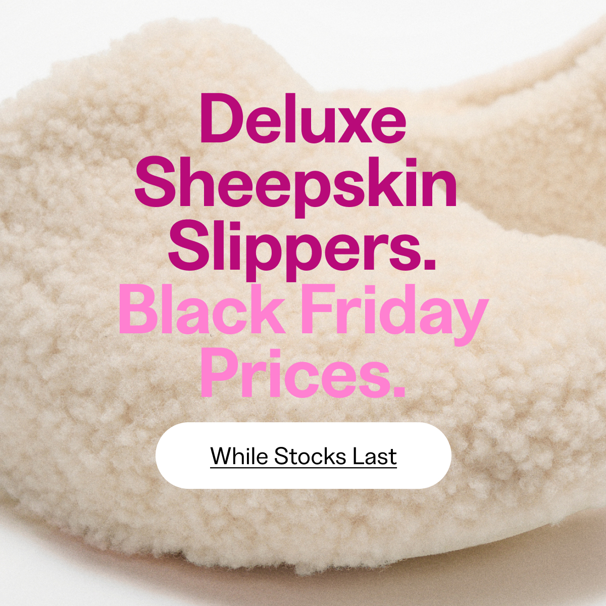Slippers Banner