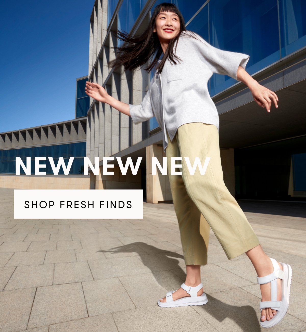 New Arrivals
