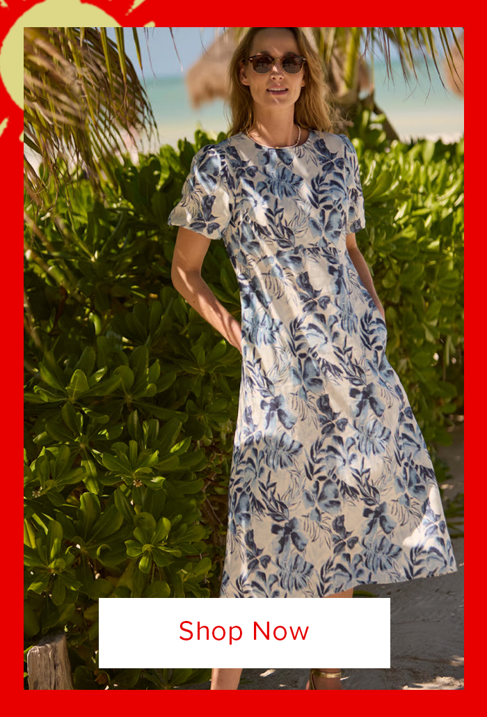 Delanie Linen Rich Dress 