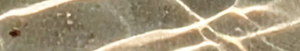 Clearance Cleanout Graphic