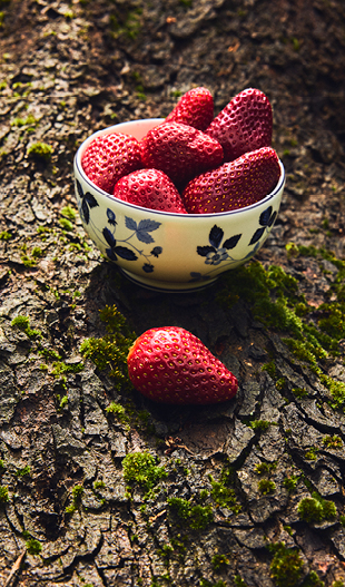 Wild Strawberry Inky Blue Bowl