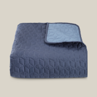 Кувертюра ROSENTRE 160x220 синя