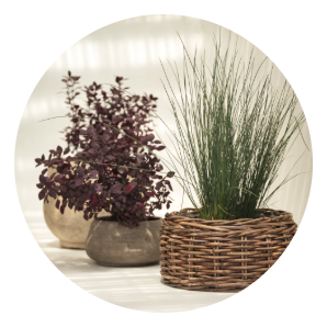 Különféle kerti kaspók egy teraszon