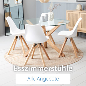 Esszimmerstühle