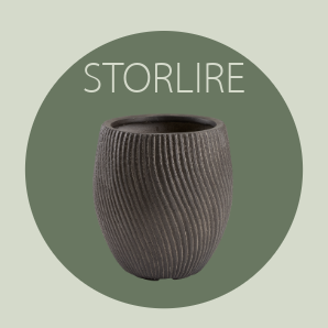 STORLIRE