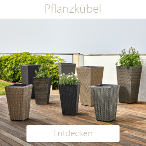 Pflanzkübrl