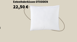 Entenfederkissen 80x80 NOTODDEN