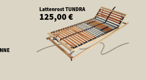 Lattenrost 90x200cm TUNDRA FLEX PA50