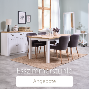 Esszimmerstühle