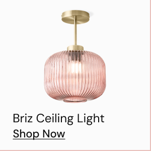 Briz Ceiling Light