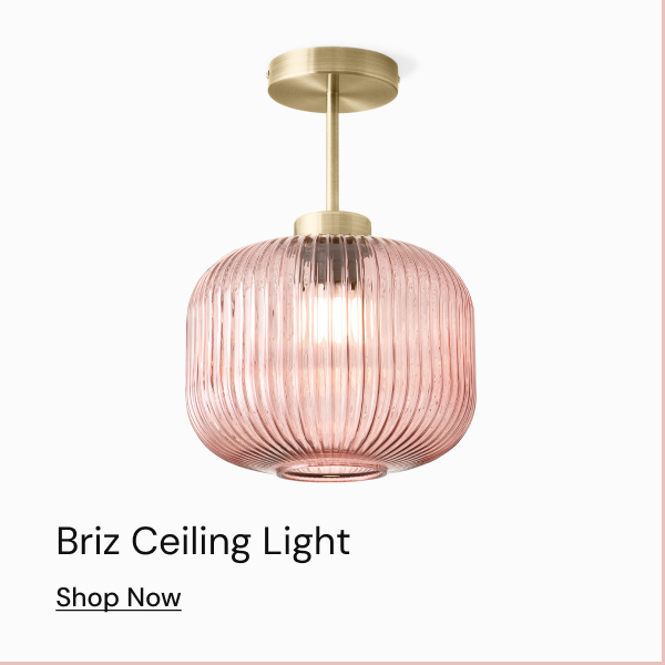 Briz Ceiling Light