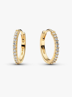 Sparkling Mini Hoop Earrings