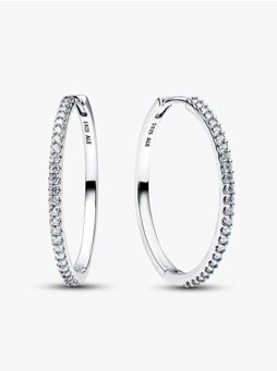 Sparkling Hoop Earrings