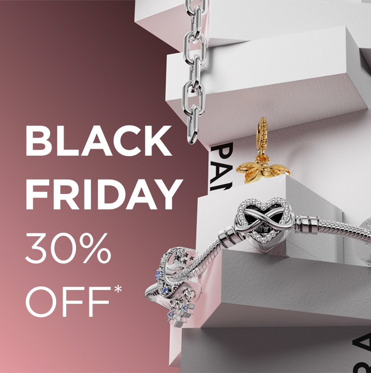 Black Friday 30% off