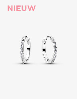 Sparkling Hoop Earrings