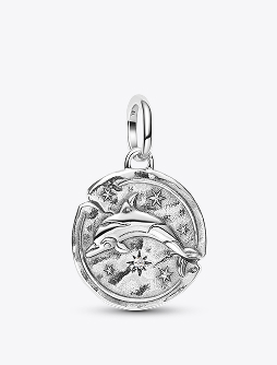 Dolphin Medallion Charm