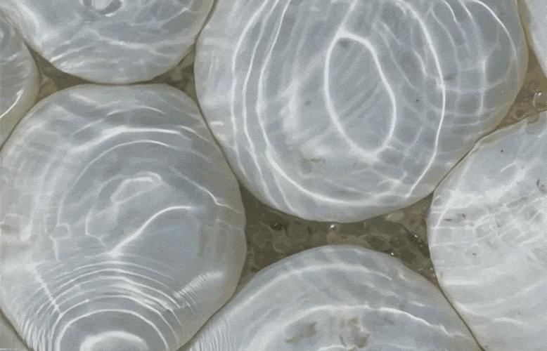 A background of pebbles under a shimmering surface of water.