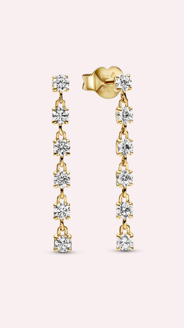 Sparkling Stones Drop Earrings