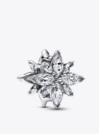 Charm Stella Polare Luminosa