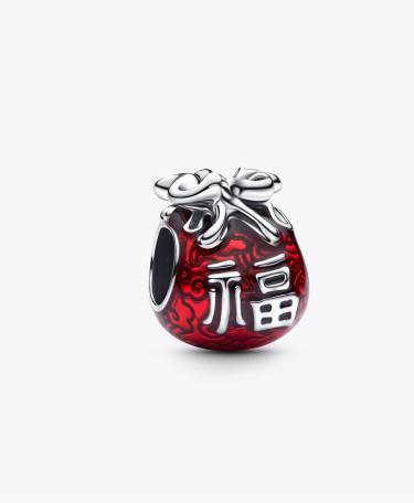 Lucky Bag Charm