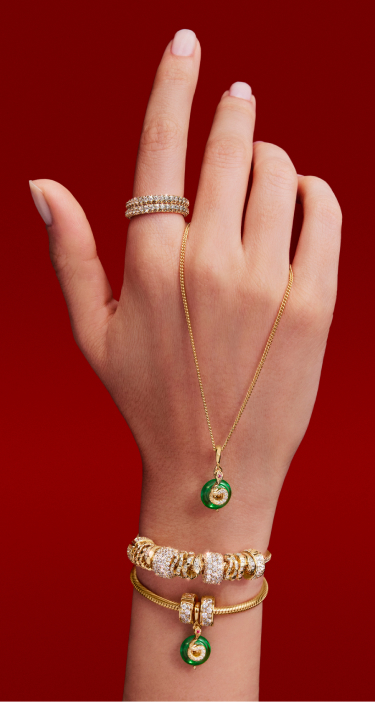 Pandora Year of the Snake bracelets and charms