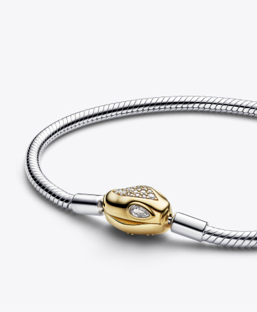 Snake Clasp & Chain Bracelet