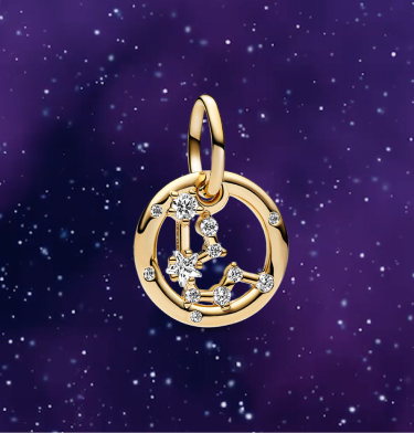 Aquarius Zodiac Dangle Charm