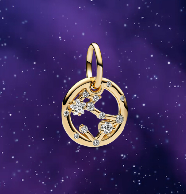 Pisces Zodiac Dangle Charm