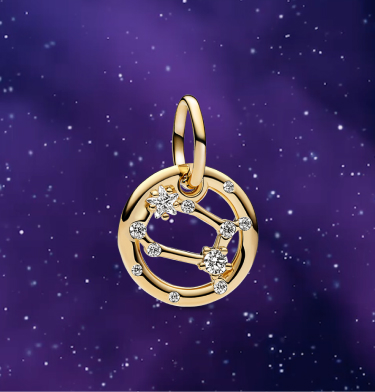 Gemini Zodiac Dangle Charm
