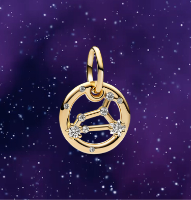Leo Zodiac Dangle Charm