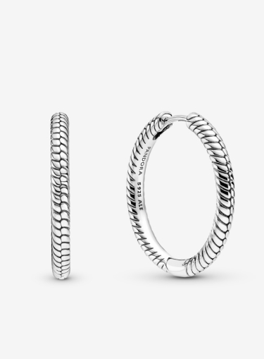 Pandora Moments Charm Hoop Earrings