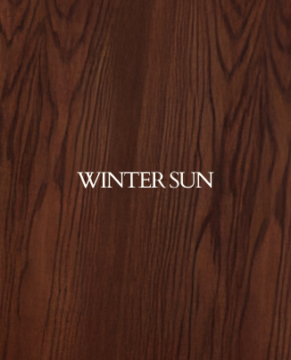 WINTER SUN