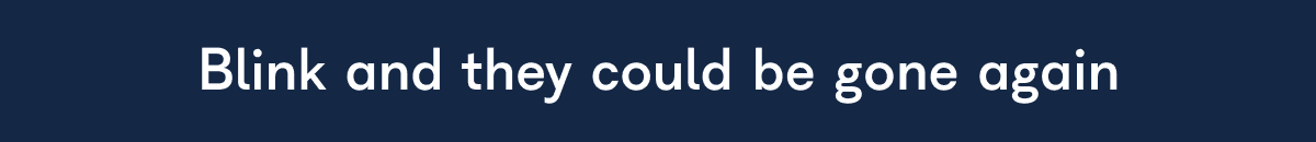 Blink and they could be gone again